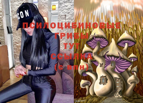 ешки Баксан
